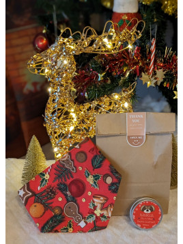 box magique de noel pour chien