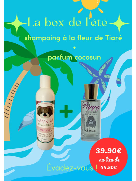 Box Été Bien-Être pour chien – Édition Limitée