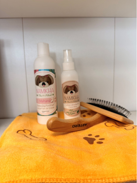 Pack baignade pour chien